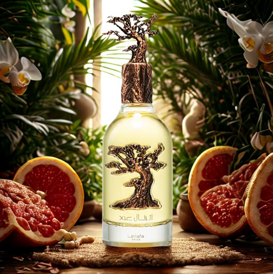 Pack MIXTE Black Friday